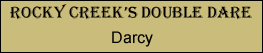 Darcy | Rocky Creek Bernese Mountain Dogs