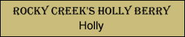 Holly