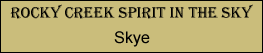 Skye | Rocky Creek Bernese Mountain Dogs